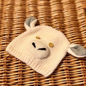 Baby Gap Knit Hat